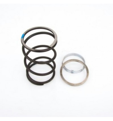 Spring Slider Bettella Aprilia, Benelli, Malaguti, Yamaha 250... Spring Slider Bettella Aprilia, Benelli, Malaguti, Yamaha 250...