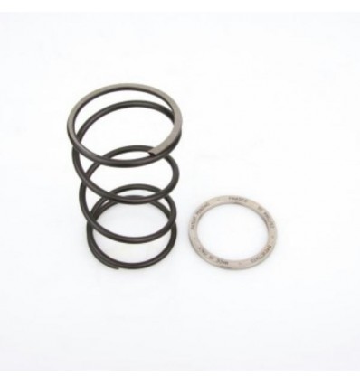 Spring Slider Bettella Piaggio oltre 125