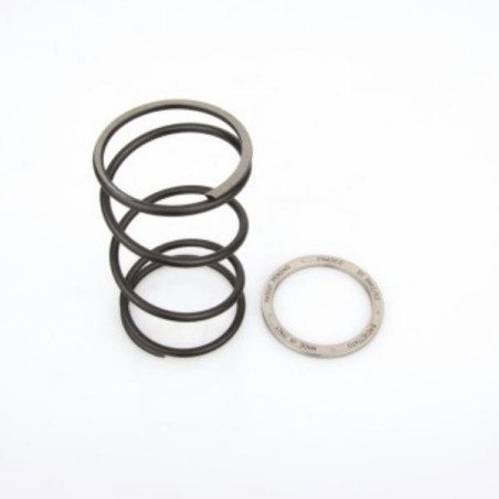 Spring Slider Bettella Piaggio oltre 125 Spring Slider Bettella Piaggio oltre 125