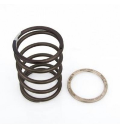 Spring Slider Bettella Honda CN 250, Piaggio... Spring Slider Bettella Honda CN 250, Piaggio...
