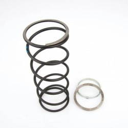 Spring Slider Bettella Honda Foresight 250...