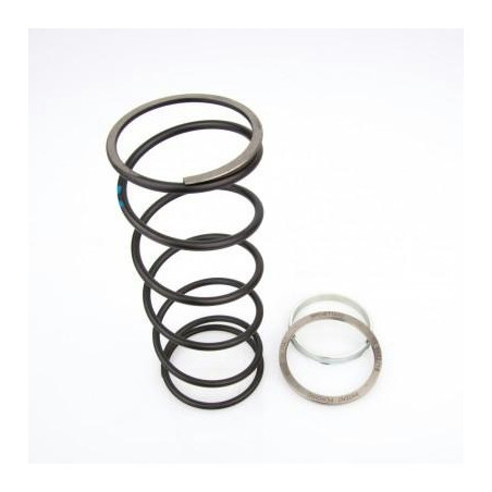 Spring Slider Bettella Honda Foresight 250... Spring Slider Bettella Honda Foresight 250...