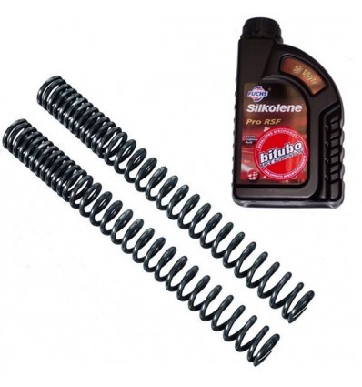 Set molle forcelle Bitubo con olio per Kawasaki ZZR 1100 93-01