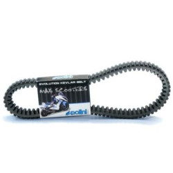 Cinghia Polini Maxi Scooter per Honda SH 300i e Forza 300i ABS