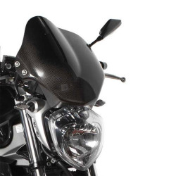Cupolino con attacchi LEA carbonio Yamaha FZ6 Fazer dal 2006 e S2 dal 2007 Cupolino con attacchi LEA carbonio Yamaha FZ6 Fazer dal 2006 e S2 dal 2007
