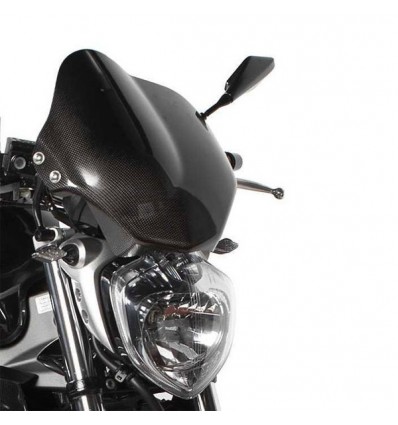 Cupolino con attacchi LEA carbonio Yamaha FZ6 Fazer dal 2006 e S2 dal 2007 Cupolino con attacchi LEA carbonio Yamaha FZ6 Fazer dal 2006 e S2 dal 2007