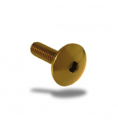 Bullone in ergal 003 testa bombata passo 5x15mm Bullone in ergal 003 testa bombata passo 5x15mm