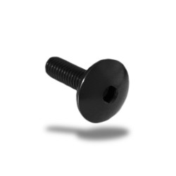 Vite in ergal 003 testa bombata passo 6x45mm Vite in ergal 003 testa bombata passo 6x45mm