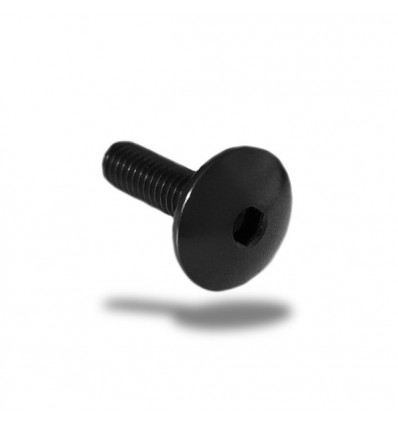 Vite in ergal 003 testa bombata passo 6x45mm Vite in ergal 003 testa bombata passo 6x45mm