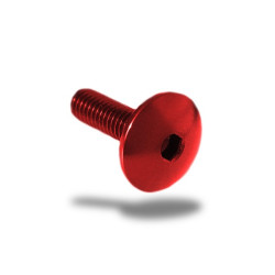 Vite in ergal 003 testa bombata passo 6x45mm Vite in ergal 003 testa bombata passo 6x45mm