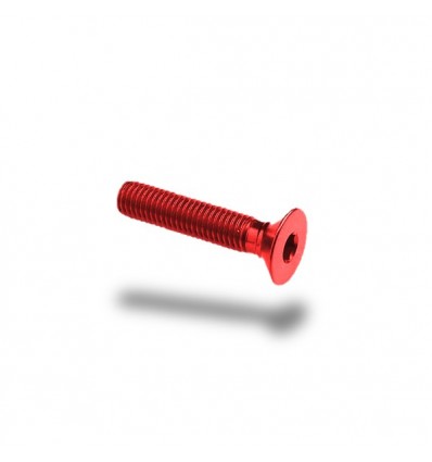 Bullone in ergal 005 testa svasata passo 4 x 10mm vari colori Bullone in ergal 005 testa svasata passo 4 x 10mm vari colori