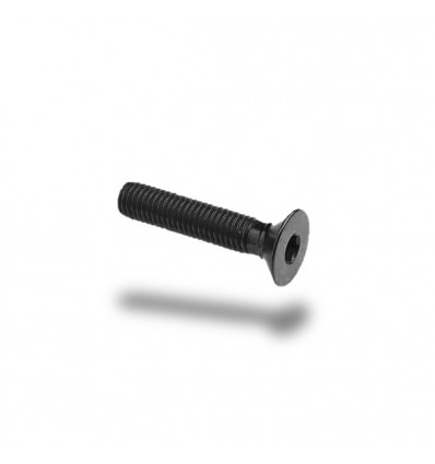 Bullone in ergal 005 testa svasata passo 4 x 20mm Bullone in ergal 005 testa svasata passo 4 x 20mm