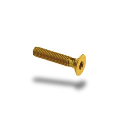 Bullone in ergal 005 testa svasata passo 4 x 20mm Bullone in ergal 005 testa svasata passo 4 x 20mm