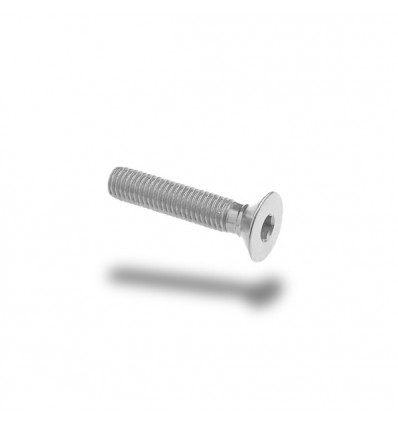 Bullone in ergal 005 testa svasata passo 4 x 20mm Bullone in ergal 005 testa svasata passo 4 x 20mm