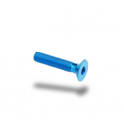 Bullone in ergal 005 testa svasata passo 4 x 20mm Bullone in ergal 005 testa svasata passo 4 x 20mm