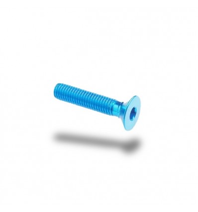 Bullone in ergal 005 testa svasata passo 4 x 20mm Bullone in ergal 005 testa svasata passo 4 x 20mm