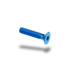 Bullone in ergal 005 testa svasata passo 4 x 20mm Bullone in ergal 005 testa svasata passo 4 x 20mm