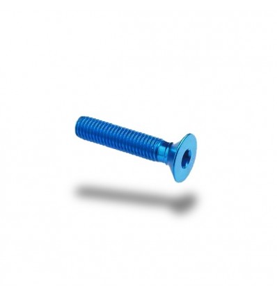 Bullone in ergal 005 testa svasata passo 4 x 20mm Bullone in ergal 005 testa svasata passo 4 x 20mm