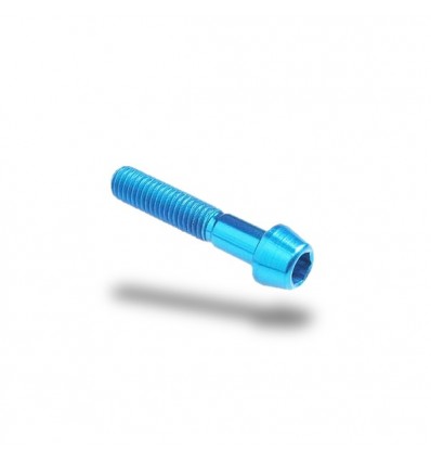 Bullone in ergal 001 brugola passo 6 x 25mm Bullone in ergal 001 brugola passo 6 x 25mm