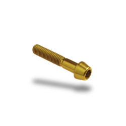 Bullone in ergal 001 brugola passo 6 x 45mm Bullone in ergal 001 brugola passo 6 x 45mm