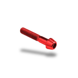 Bullone in ergal 001 brugola passo 8 x 45mm Bullone in ergal 001 brugola passo 8 x 45mm