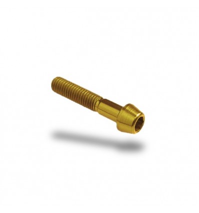 Bullone in ergal 001 brugola passo 8 x 50mm Bullone in ergal 001 brugola passo 8 x 50mm