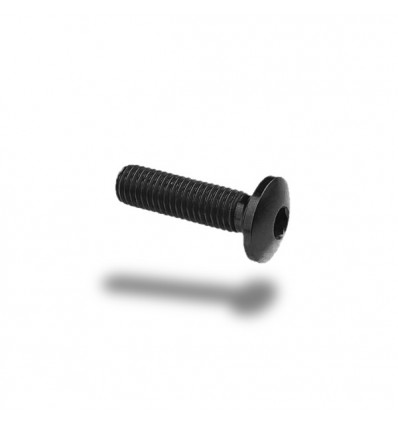 Bullone in ergal 002 testa bombata 6x35mm Bullone in ergal 002 testa bombata 6x35mm