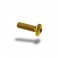 Bullone in ergal 002 testa bombata 6x35mm Bullone in ergal 002 testa bombata 6x35mm