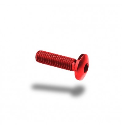 Bullone in ergal 002 testa bombata 6x35mm Bullone in ergal 002 testa bombata 6x35mm