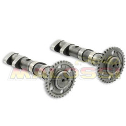 Alberi a camme Malossi Double Power Cam per Yamaha T-Max 530