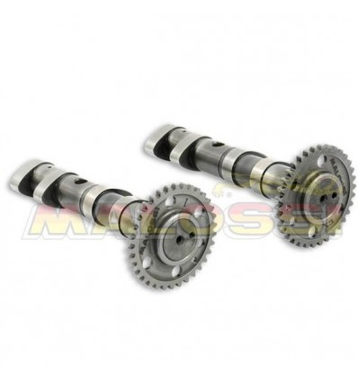 Alberi a camme Malossi Double Power Cam per Yamaha T-Max 530