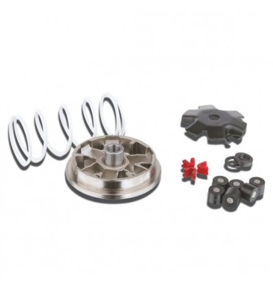 Variatore Malossi scooter 50cc Honda Dio ZX Variatore Malossi scooter 50cc Honda Dio ZX