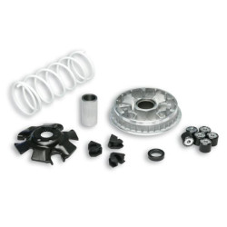 Kit Multivar 2000 Malossi Suzuki Burgman 125/150cc...