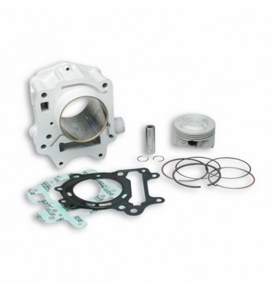 Cilindro Malossi 4Stroke 176cc in alluminio per scooter Aprilia Leonardo 125-150cc Cilindro Malossi 4Stroke 176cc in alluminio per scooter Aprilia Leonardo 125-150cc