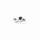 Gruppo termico Malossi base 70cc liquido Aprilia DiTech