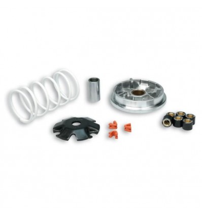 Kit Multivar 2000 Malossi per Honda Vision 50 e NSC50R