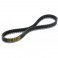 Cinghia Malossi X-Kevlar Belt per Piaggio Liberty 125 3V, Vespa Primavera e Vespa Sprint 125 3V Cinghia Malossi X-Kevlar Belt per Piaggio Liberty 125 3V, Vespa Primavera e Vespa Sprint 125 3V