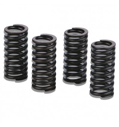 Set molle Malossi per valvole testata su Aprilia Sportcity, Gilera Nexus, Piaggio Beverly 125ie 300ie...