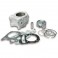 Cilindro Malossi 4Stroke 282cc in alluminio per Aprilia Scarabeo 300, Piaggio MP3 300, Vespa GTS 300 Super... Cilindro Malossi 4Stroke 282cc in alluminio per Aprilia Scarabeo 300, Piaggio MP3 300, Vespa GTS 300 Super...