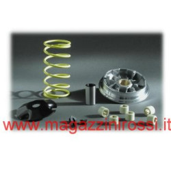 Variatore Pinasco Honda Sky, SH96, X8R...