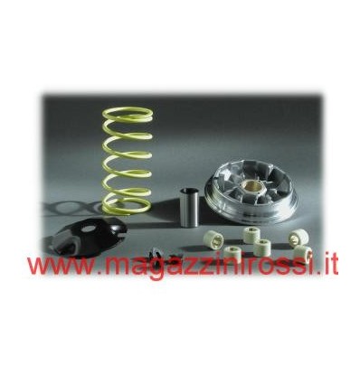 Variatore Pinasco Honda Sky, SH96, X8R... Variatore Pinasco Honda Sky, SH96, X8R...