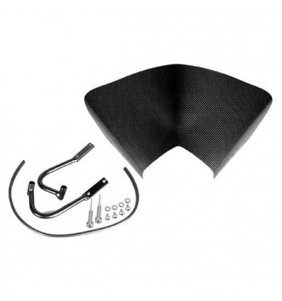 Cupolino basso con attacchi LEA carbonio per Yamaha FZ8 Cupolino basso con attacchi LEA carbonio per Yamaha FZ8