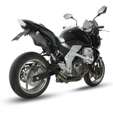Terminale Mivv Double Gun per Kawasaki Z750 Terminale Mivv Double Gun per Kawasaki Z750