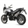 Terminale Mivv oval titanio per BMW F700GS dal 2012 Terminale Mivv oval titanio per BMW F700GS dal 2012
