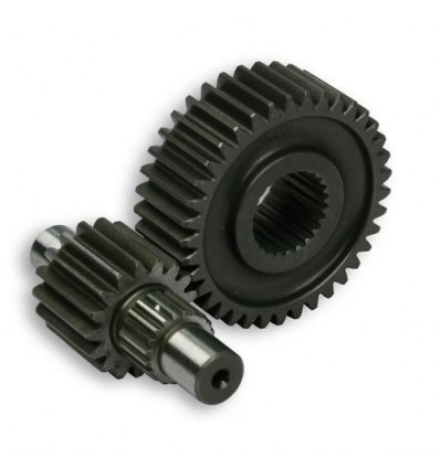 Ingranaggi secondari Malossi per Yamaha Majesty 250, Aprilia Leonardo 250...