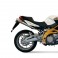 Terminale Mivv X-cone inox per Aprilia Shiver dal 2008 Terminale Mivv X-cone inox per Aprilia Shiver dal 2008