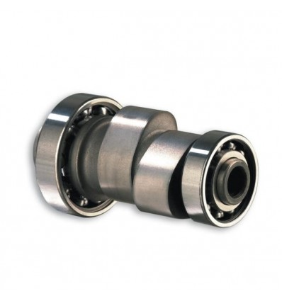 Albero a camme Malossi Power Cam per Honda Foresight 250, Jazz 250, Piaggio X9 250...