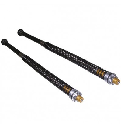Kit cartuccia e molle Andreani regolabile per avantreno Yamaha T-Max 500 08-11 Kit cartuccia e molle Andreani regolabile per avantreno Yamaha T-Max 500 08-11