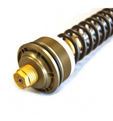 Kit cartuccia e molle Andreani regolabile per avantreno Yamaha T-Max 500 08-11 Kit cartuccia e molle Andreani regolabile per avantreno Yamaha T-Max 500 08-11