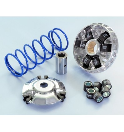 Variatore Polini Hi Speed per Peugeot Django 125-150, Tweet 125-150, SYM Joyride...